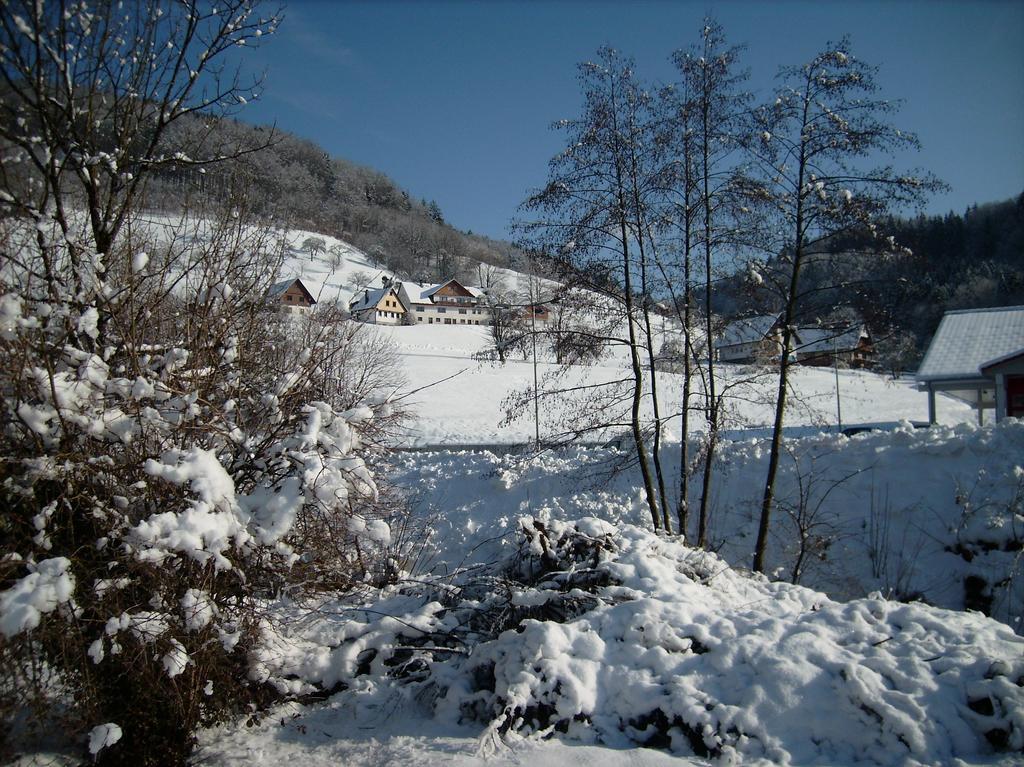 Finken, Gästezimmer an der Rench Oppenau Exterior foto