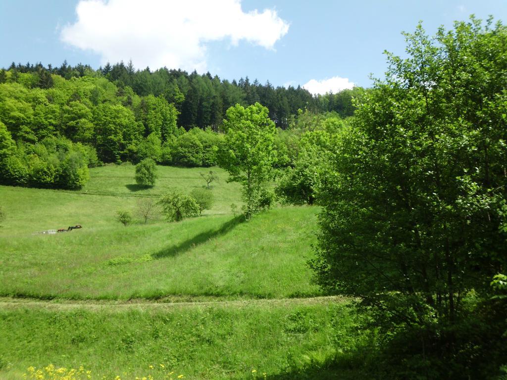 Finken, Gästezimmer an der Rench Oppenau Exterior foto